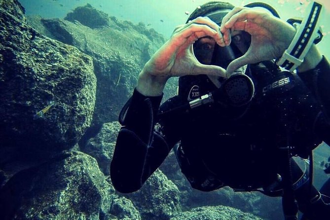 Scuba Diving Experience in Madeira - Pool Training at Shallow Depth: Where You Earn Comfort