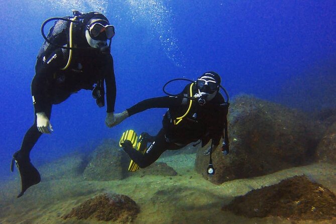 Scuba Diving Experience in Madeira - Instructors and Small Group Coaching: Why It Feels Personal