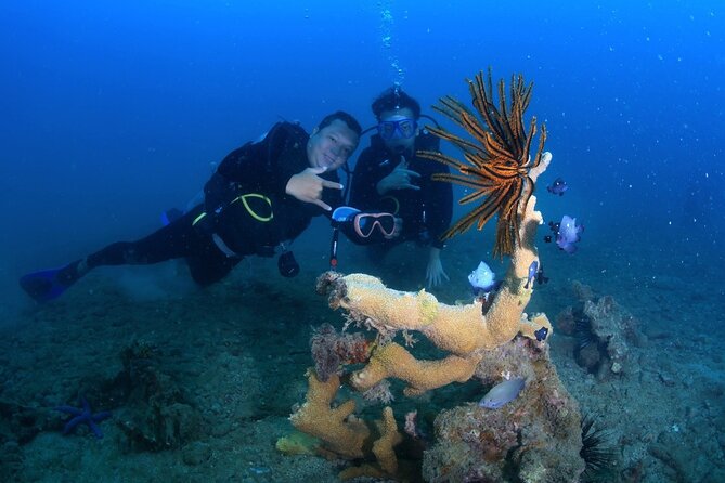 Scuba Diving Experience in Nha Trang Bay - Key things that make this Nha Trang Bay experience worth your time