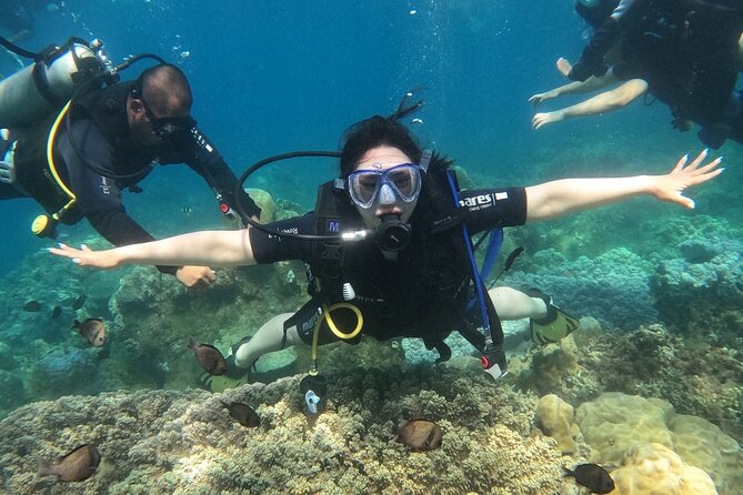 Scuba Diving Experience in Nha Trang Bay - Nha Trang Bay: what the first underwater session feels like