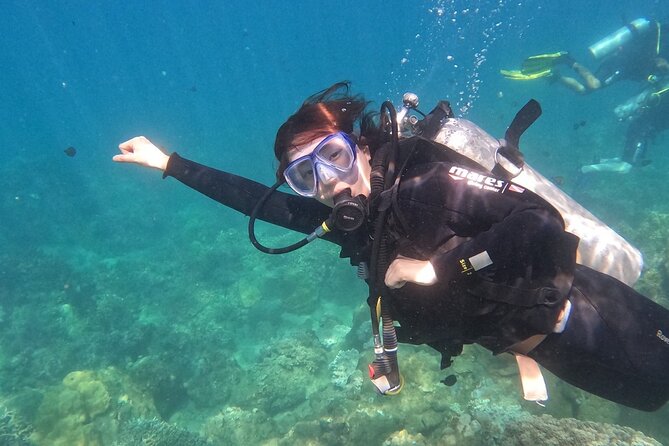Scuba Diving Experience in Nha Trang Bay - Should you book this Nha Trang Bay scuba experience?
