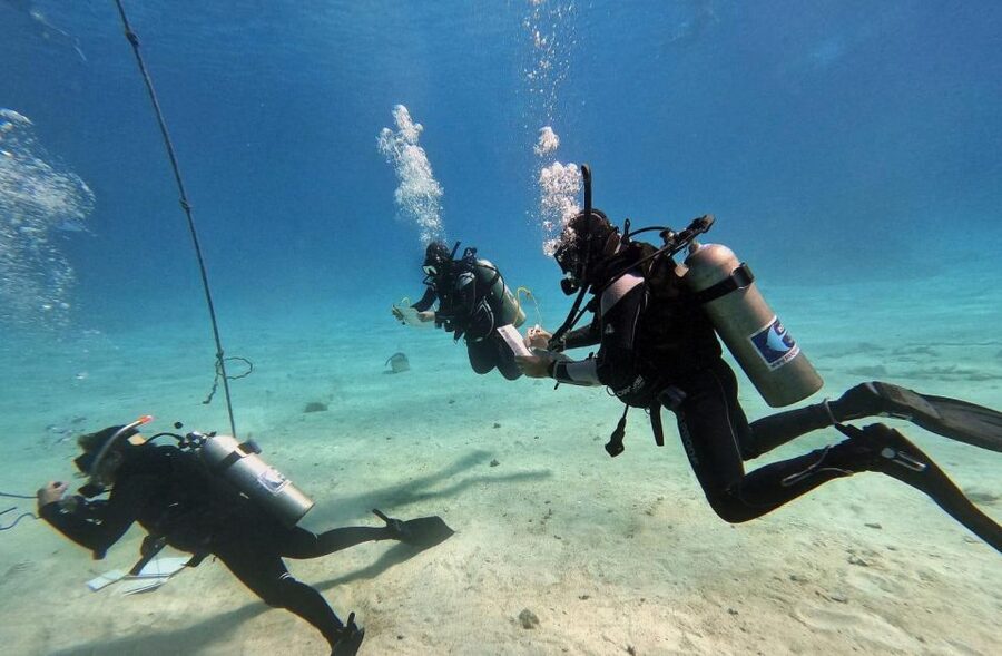 Scuba Diving Experience in Porto Cesareo - Key highlights at a glance
