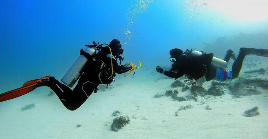 Scuba Diving Experience in Porto Cesareo - Breathing Underwater in Porto Cesareo’s Protected Marine Area