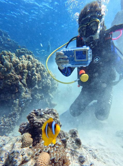 Scuba Diving Experience in Porto Cesareo - Stop by Stop: Torre Lapillo Briefing and the Guided Water Skills