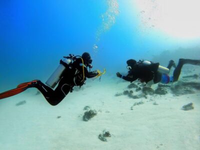 Scuba Diving Experience in Porto Cesareo - Your 2-Hour Timeline: 2:30 PM Meeting to Return