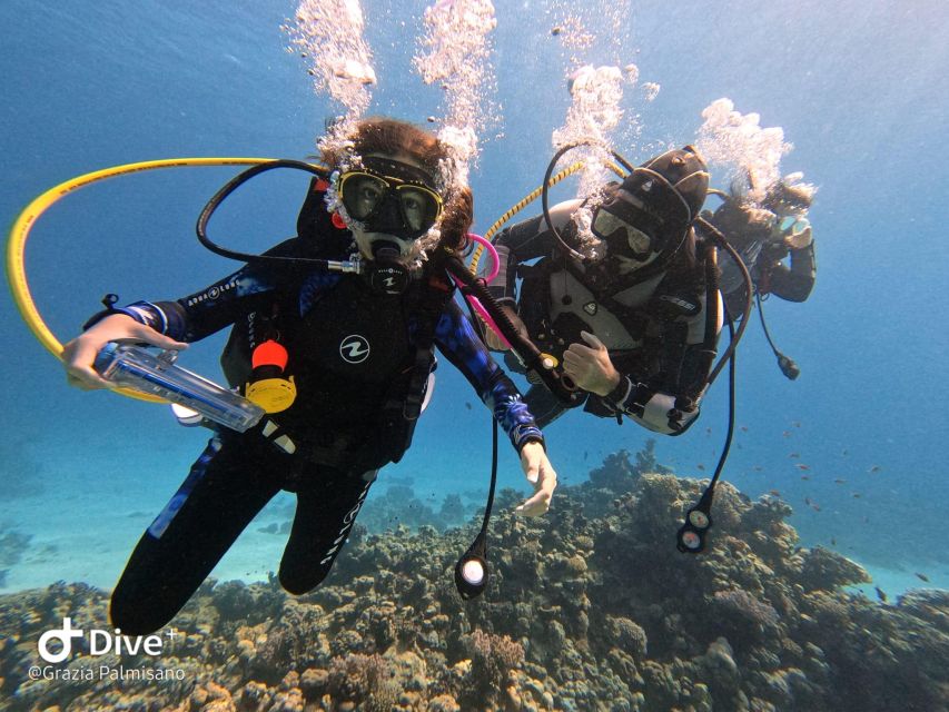 Scuba Diving Experience in Porto Cesareo - Gear, Clothing, and What to Bring for a Smooth Day