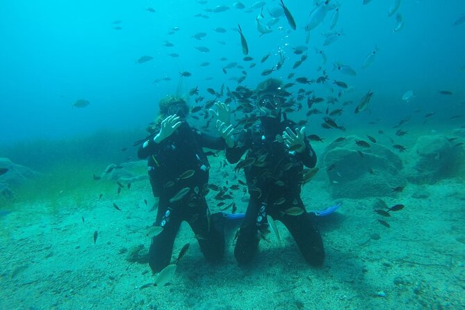 Scuba Diving Experience in Santorini - Price and Value: Is $106.64 Fair Here?