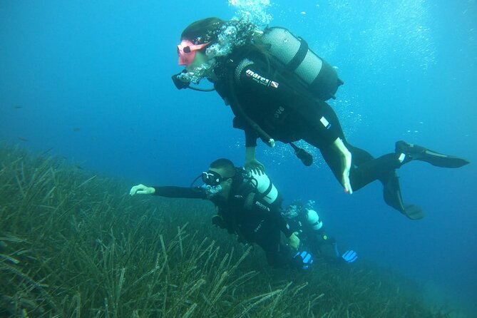 Scuba Diving Experience in Santorini - Quick Reality Checks Before You Go