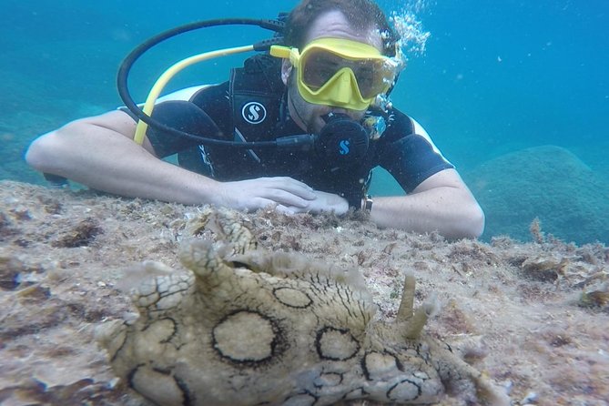 Scuba Diving Experience in Taormina - The Guides: Calm, Patient, and Focused on Confidence