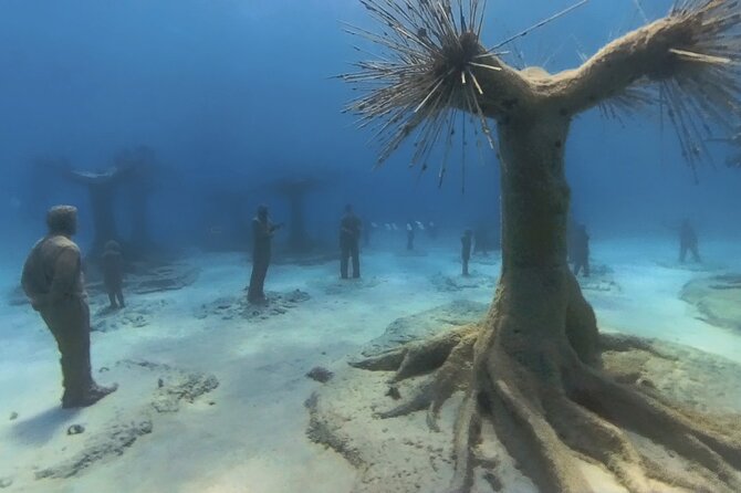 Scuba Diving Experience & MUSAN Dive + Free Edited Video 2xdives - Key things to know before you go