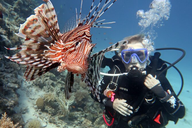 Scuba Diving Experience & MUSAN Dive + Free Edited Video 2xdives - Price and Time: what you’re really paying for (and who gets the best value)