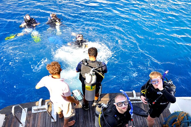 Scuba Diving Experience with Lunch & Transfer from Hurghada - Key highlights you’ll feel right away
