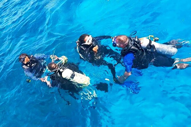 Scuba Diving Experience with Lunch & Transfer from Hurghada - Hurghada to the Red Sea: getting there without the hassle