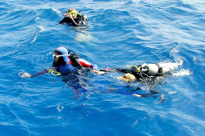 Scuba Diving Experience with Lunch & Transfer from Hurghada - First underwater stop: instructor guidance and a short, focused session