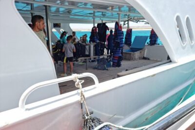 Scuba Diving Experience with Lunch & Transfer from Hurghada - The day’s schedule: meet at 8:00am, back by late afternoon