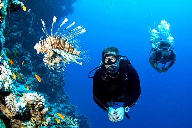 Scuba Diving Experience with Lunch & Transfer from Hurghada - Lunch on board after the first stop: real food, right on schedule