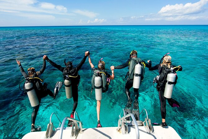 Scuba Diving Experience with Lunch & Transfer from Hurghada - What’s included (and what you’ll likely pay extra)