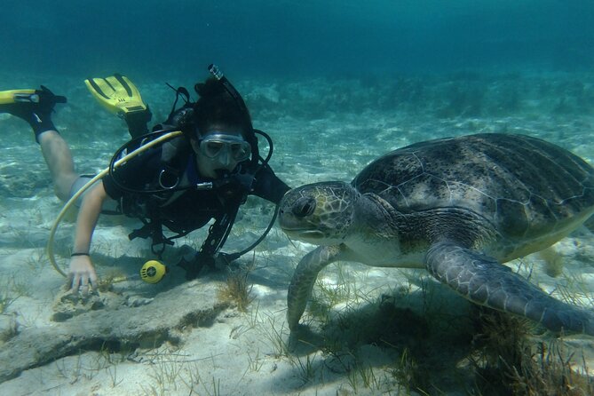 SCUBA DIVING first time experience - Key things that make this first-timer scuba course special