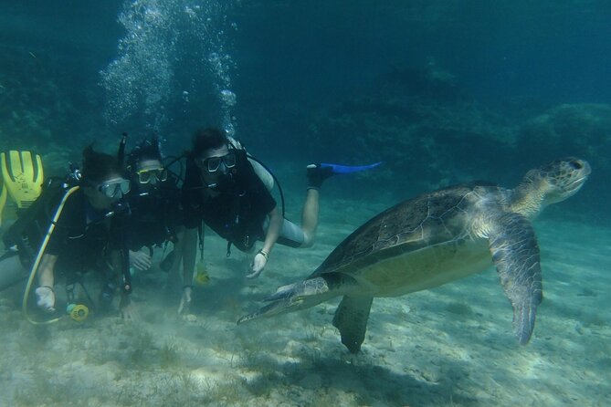 SCUBA DIVING first time experience - Protaras makes sense for a first underwater course