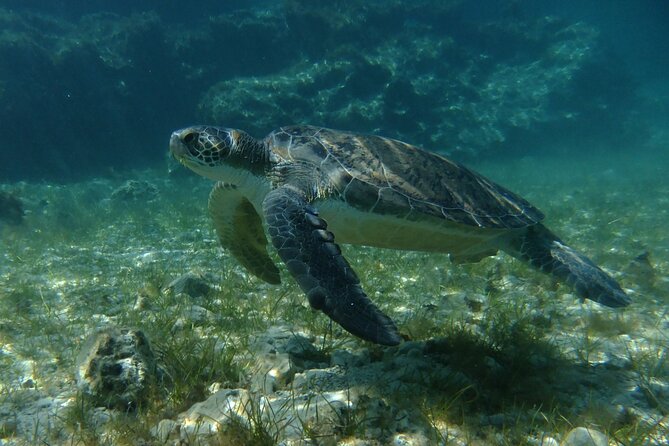 SCUBA DIVING first time experience - Why the small-group setup feels safer (and more fun)