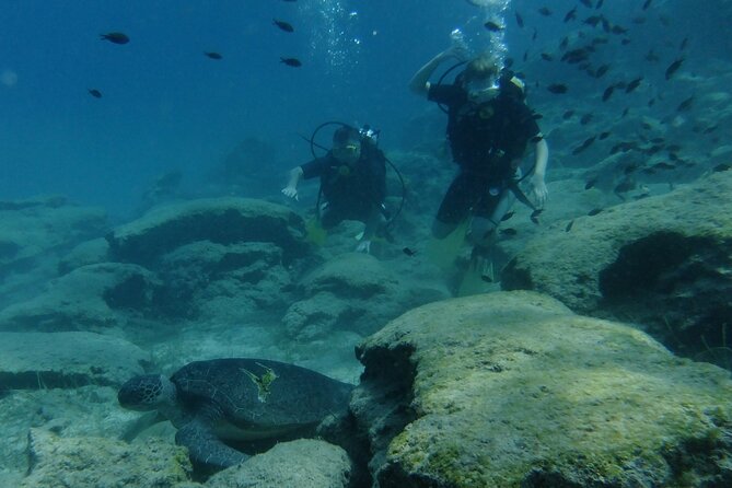 SCUBA DIVING first time experience - Equipment, comfort, and how to judge what you’ll get on the day