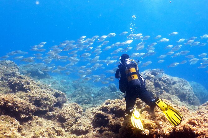 Scuba Diving for Beginner and Experts in Pefkos Lindos - Key highlights to know before you go