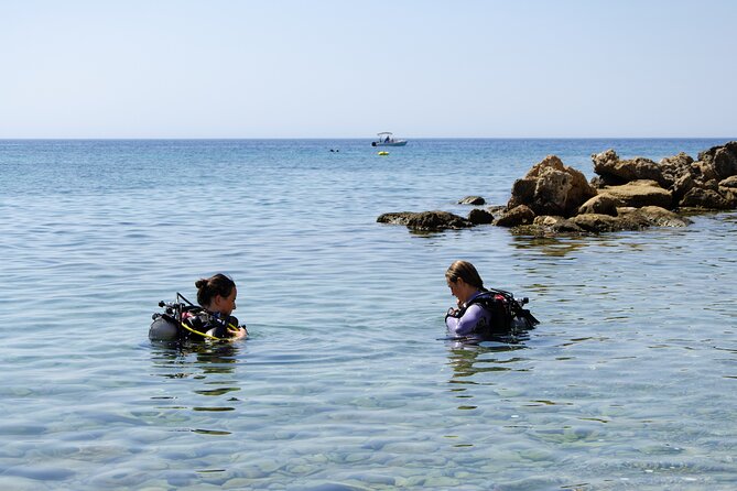 Scuba Diving for Beginner and Experts in Pefkos Lindos - What you actually see: fish, swim-throughs, and the small “wow” moments