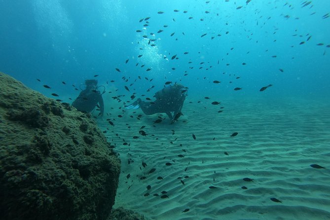 Scuba Diving For Beginners - The 3-hour flow: theory, training, and reef time on a schedule