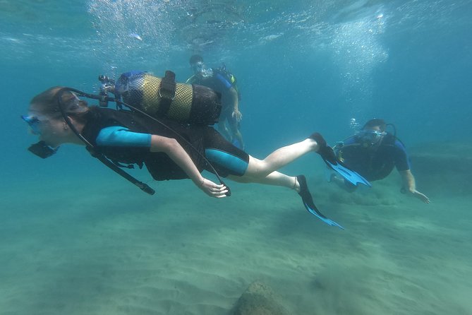 Scuba Diving For Beginners - Price and value: why $84.37 can make sense