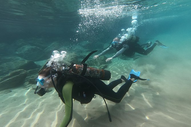 Scuba Diving For Beginners - Timing, Depth Options, and Who This Fits Best