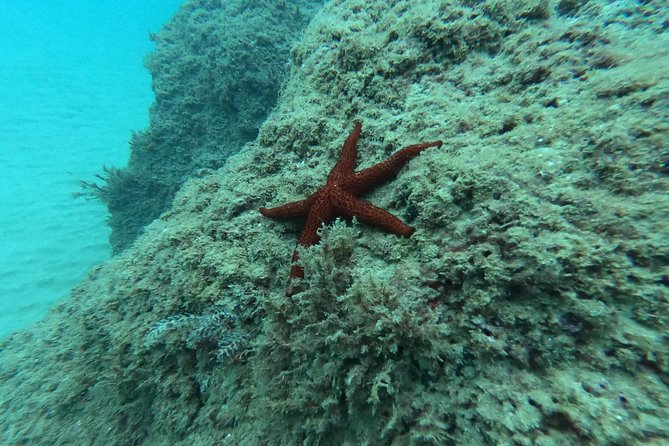 Scuba Diving For Beginners - Getting There and What to Plan Around