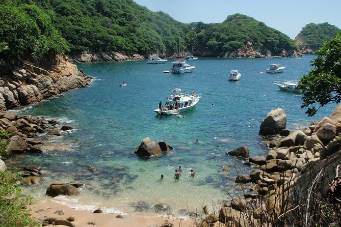 Scuba Diving for Beginners in Acapulco - Roqueta Island: sea life in clear water