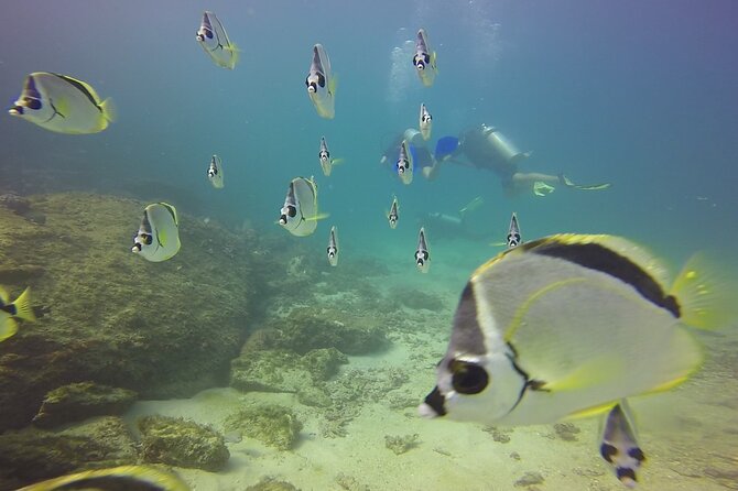 Scuba Diving for Beginners in Acapulco - Gear, snacks, and the small comforts that matter