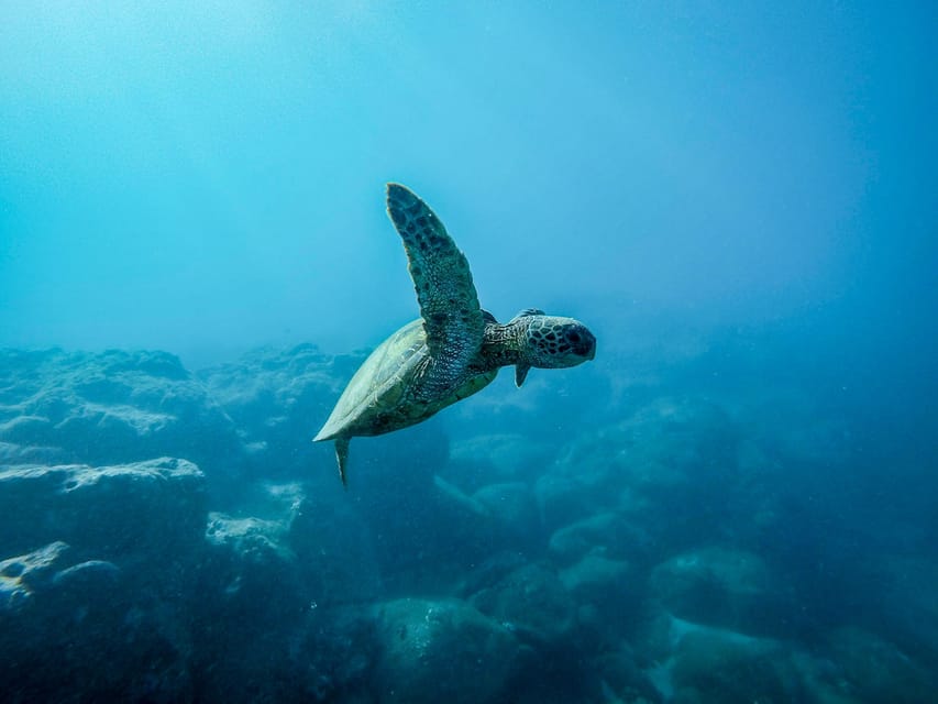 Scuba diving for beginners in crystal clear sea of Halkidiki - Key things to know before you go
