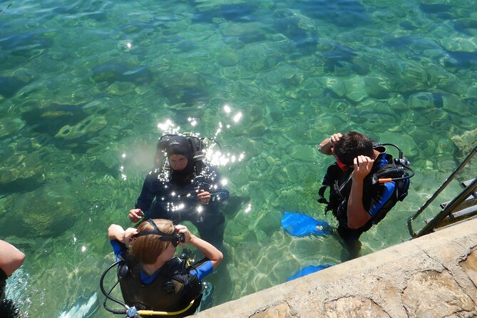 Scuba Diving for Beginners in Pula - Where You Start: The Orca Centre Meeting Point in Verudela