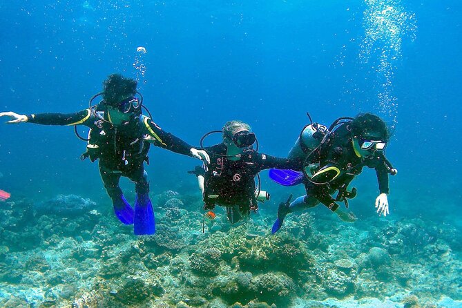 Scuba Diving for Beginners in Pula - Small Groups (That Actually Matter)