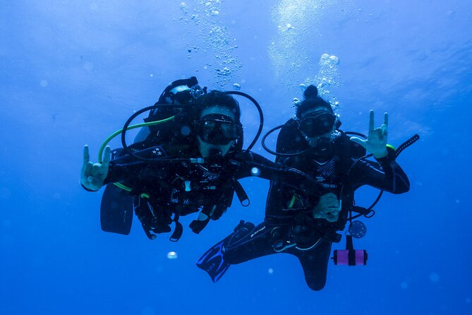 Scuba Diving for Beginners – Tulum Dive Machine - Cuevitas Reef by Boat: Coral, Fish, Turtles, and Stingrays