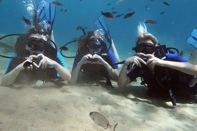 Scuba Diving for Beginners with a PADI Instructor near Heraklion - What Happens During the Underwater Practice Hour