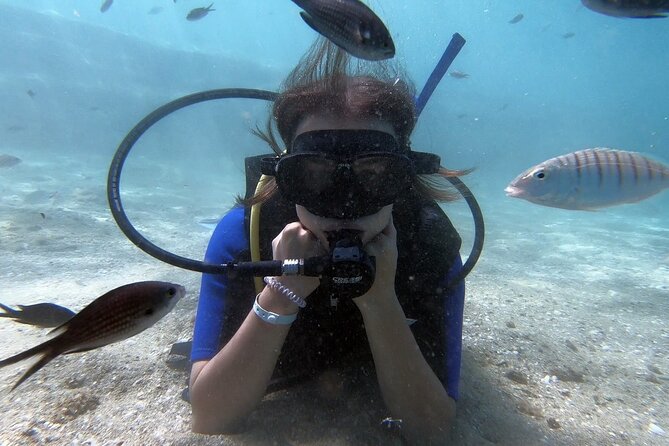 Scuba Diving for Beginners with a PADI Instructor near Heraklion - Getting From Heraklion to Agia Pelagia (Without the Stress)