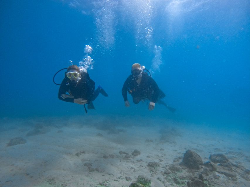 Scuba Diving for Beginners with Certified Diving Centre - Key things I’d bet on before you go