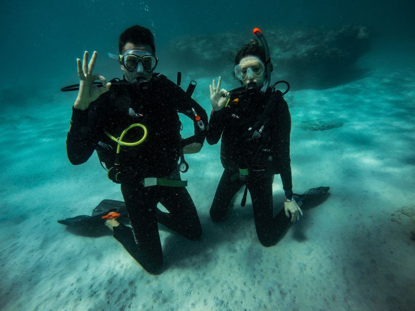 Scuba Diving for Beginners with Certified Diving Centre - What you’ll see underwater: fish, coral, and the reality check
