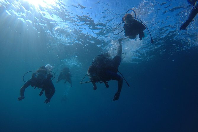 Scuba Diving For Beginners - Equipment, comfort, and what to plan for (since lunch is not included)