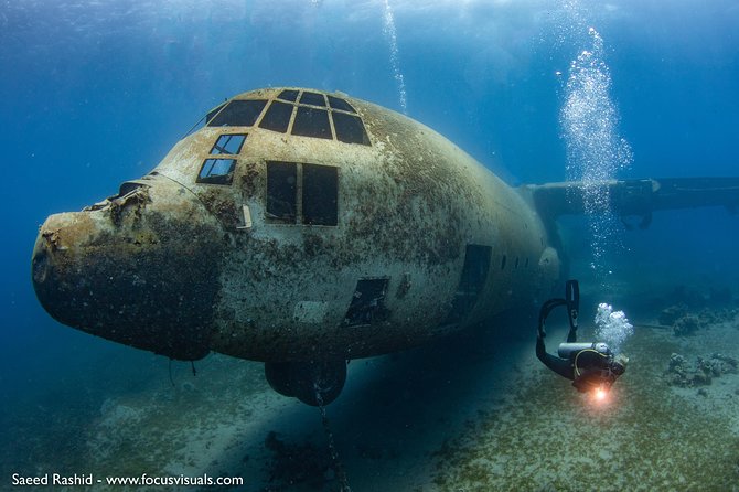 Scuba Diving for Certified Divers - Key things to know before you go