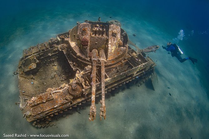 Scuba Diving for Certified Divers - Aqaba’s Red Sea wrecks and coral reefs: what you’re really going for