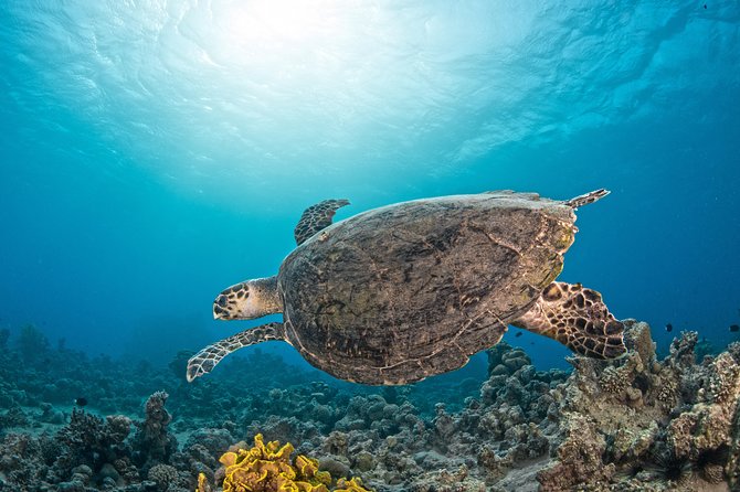 Scuba Diving for Certified Divers - Weather, visibility, and what to do with uncertainty
