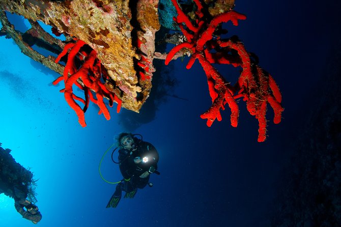 Scuba Diving for Certified Divers - Who should book this certified scuba package in Aqaba?