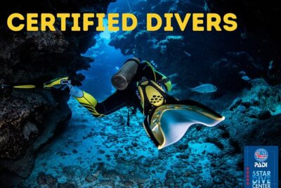 Scuba Diving for Certified Divers in Costa Adeje - Speedboat Transfer: Why It’s Worth It (and What to Expect)