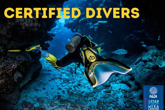 Scuba Diving for Certified Divers in Costa Adeje - Speedboat Transfer: Why It’s Worth It (and What to Expect)
