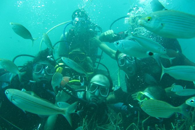 Scuba Diving from Bodrum - Pricing and Value: Is $45.38 a Smart Buy?