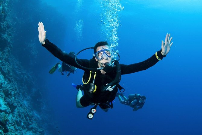 Scuba Diving from Dalyan - Pickup, Transfer, and What Shared Transport Really Means